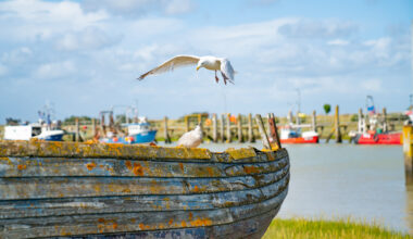 One of Britain’s Best Seaside Towns is Just Over One Hour From London