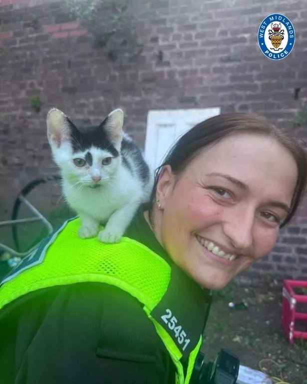 Response officer PC Carpenter with one of the rescued kittens