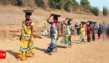 Prayagraj’s women lead the way with 46.71% workdays under MNREGA | Prayagraj News