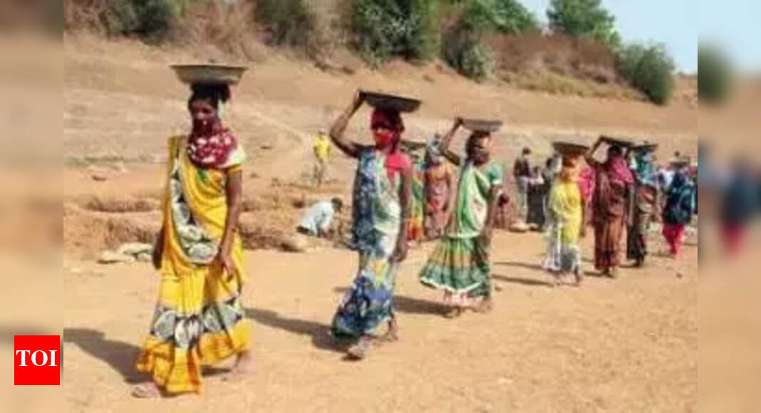 Prayagraj’s women lead the way with 46.71% workdays under MNREGA | Prayagraj News