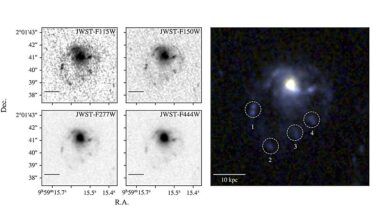 New galaxy discovered with the James Webb Space Telescope