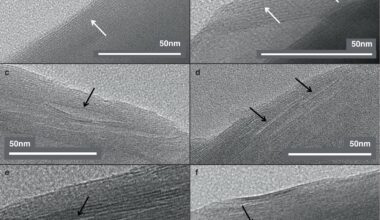 Meteorite-common amino acid induces formation of nanocavities in clay mineral, hinting at life's origins