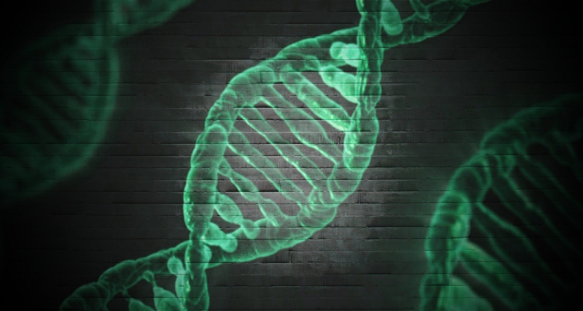 Researchers find that genetic ancestry influences how gene mutations impact cancer prognosis
