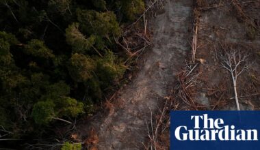 Rise in legal challenges over carbon credit schemes | Carbon offsetting