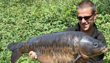 Al, from Norwich, has been described as 'a kind-hearted man'