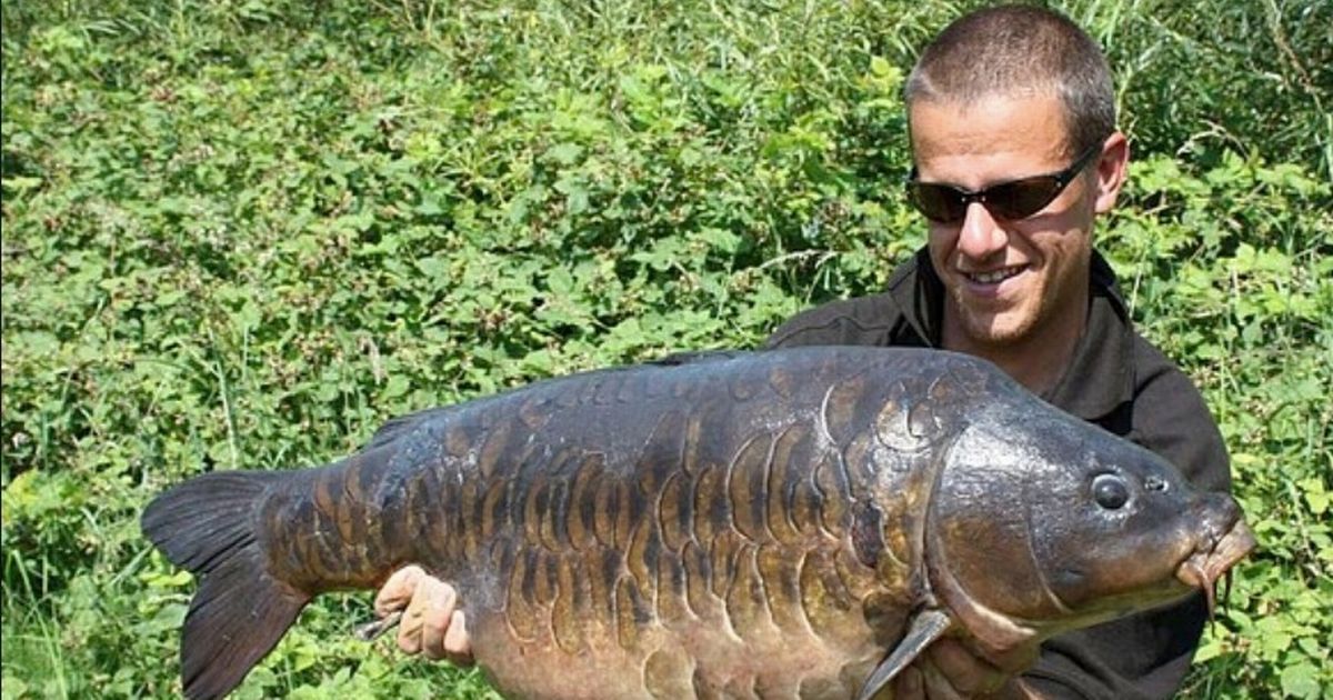 Al, from Norwich, has been described as 'a kind-hearted man'