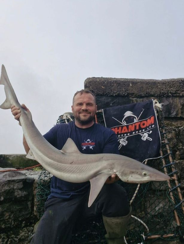 Darren with the shark