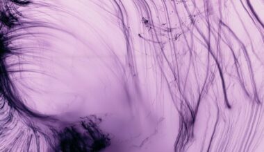 7 Defining Wolfgang Tillmans Artworks in His 2025 Centre Pompidou Show