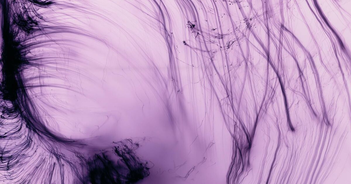 7 Defining Wolfgang Tillmans Artworks in His 2025 Centre Pompidou Show