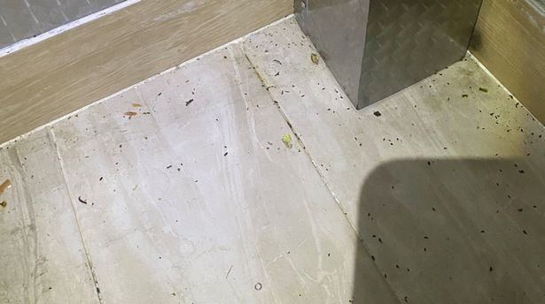 Inspectors felt records weren't being kept up to date because of the amount of droppings found