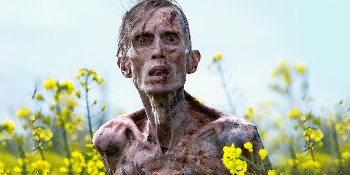 10 Movies You Had No Idea Were Shot On An iPhone - No Film School