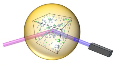 Computational trick enables better understanding of exotic state of matter