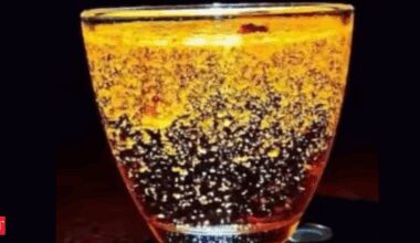Viral haldi trend: Why is everyone suddenly making glowing turmeric water at home?