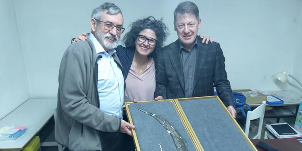 Archaeology breakthrough as experts discover 'world’s oldest boomerang' in Europe