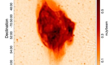 Supernova remnant SNR J0450.4−7050 investigated in detail