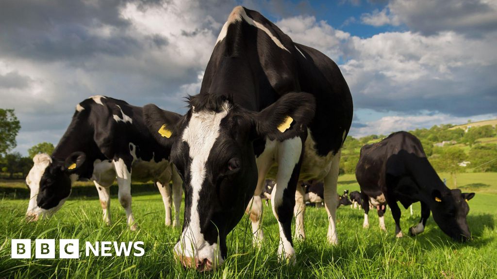 Farm incomes have increased by almost two-thirds