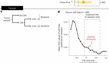 Predicting resistance to chemotherapy using chromosomal instability signatures