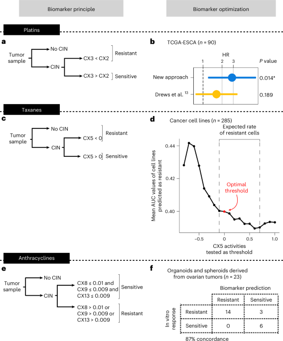 Predicting resistance to chemotherapy using chromosomal instability signatures