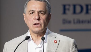 Swiss foreign minister: 'EU was only given what was necessary'