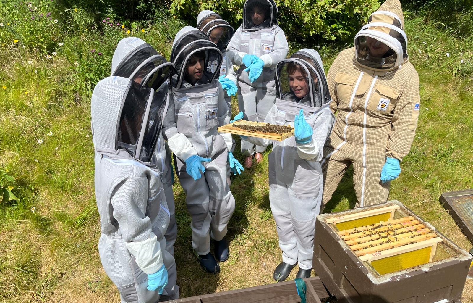 Edinburgh pupils discover the world of beekeeping with educational day at Fort Kinnaird