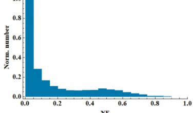 Astronomer models radio pulsar nulling fractions