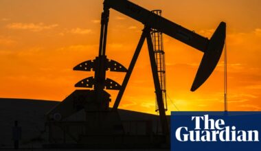 UN expert urges criminalizing fossil fuel disinformation, banning lobbying | Climate crisis