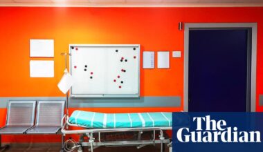 Fragile Minds by Bella Jackson review – a furious assault on NHS psychiatry | Society books
