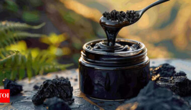 Shilajit Benefits: What are its benefits and who needs it |