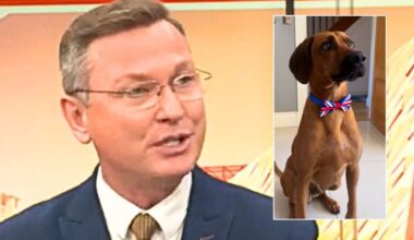 Stephen Dixon shares adorable picture of his pet dog dressed in a Union Jack bow tie to mark special occasion