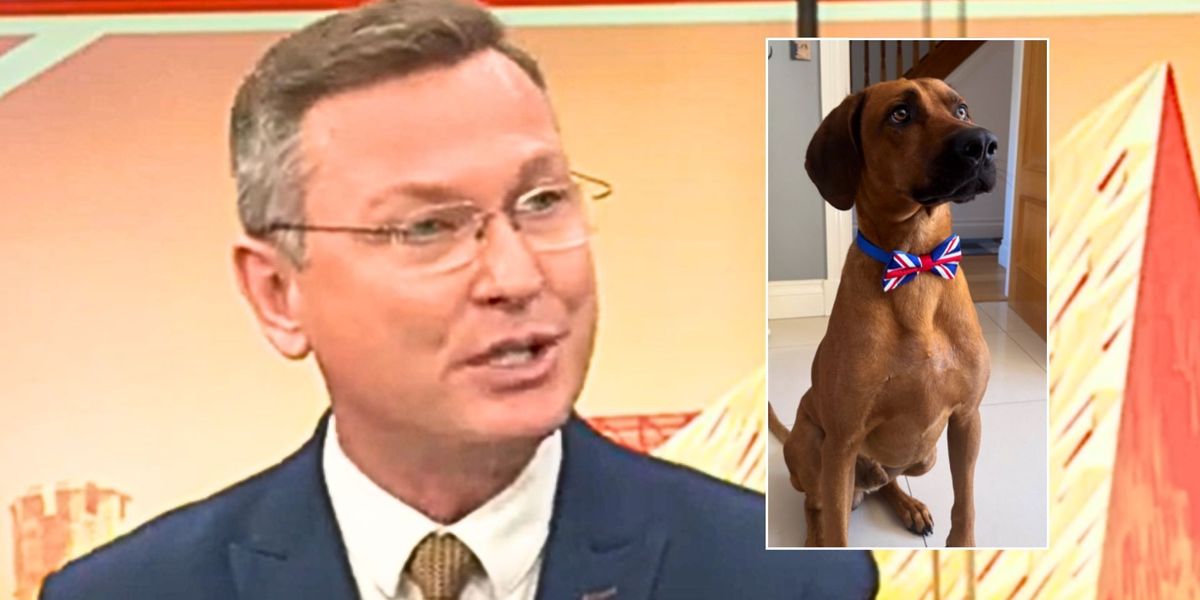 Stephen Dixon shares adorable picture of his pet dog dressed in a Union Jack bow tie to mark special occasion