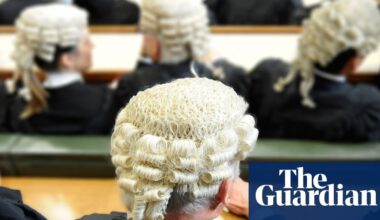 Bar Council is wise to the risk of AI misuse | Artificial intelligence (AI)