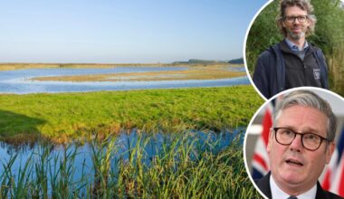 Wildlife boss says new planning laws threaten Norfolk nature