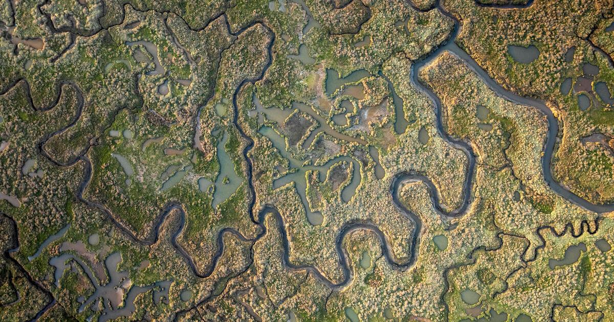More Norfolk saltmarsh could be created in pollution fight