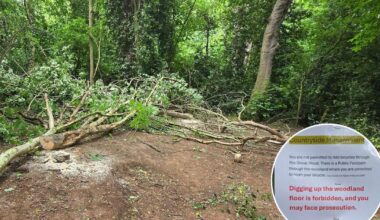 Warnings against 'off-road riding' in Felixstowe woodland