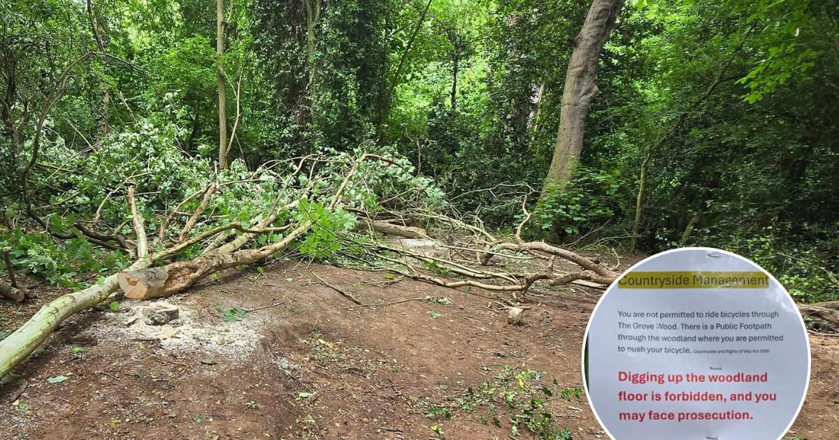 Warnings against 'off-road riding' in Felixstowe woodland