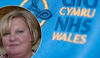 Is it time for Flintshire to have its own hospital?
