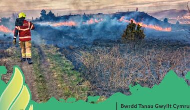 Wales Wildfire Board urges people to stay 'Wildfire Wise'