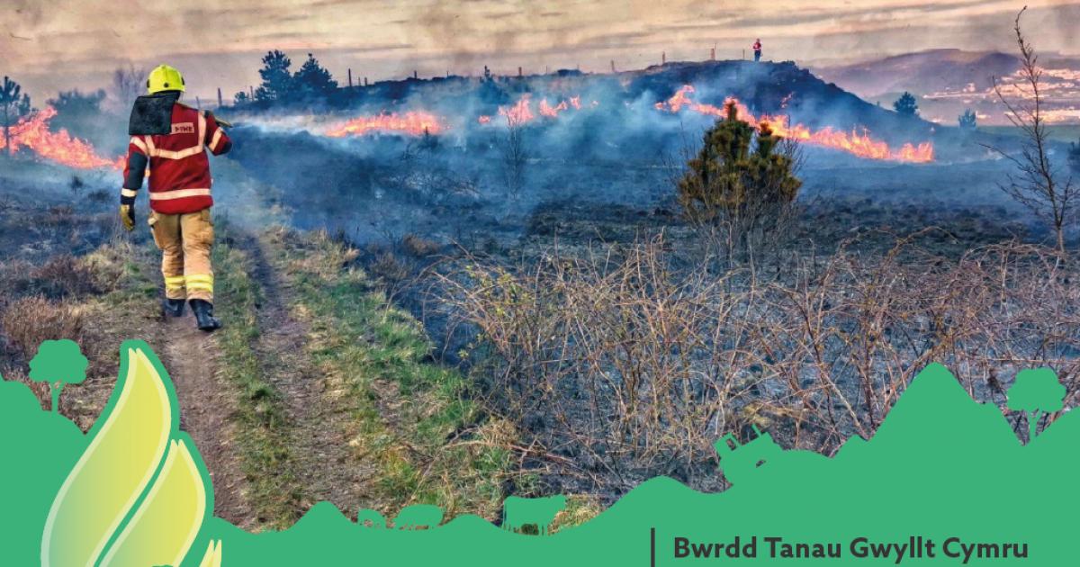 Wales Wildfire Board urges people to stay 'Wildfire Wise'