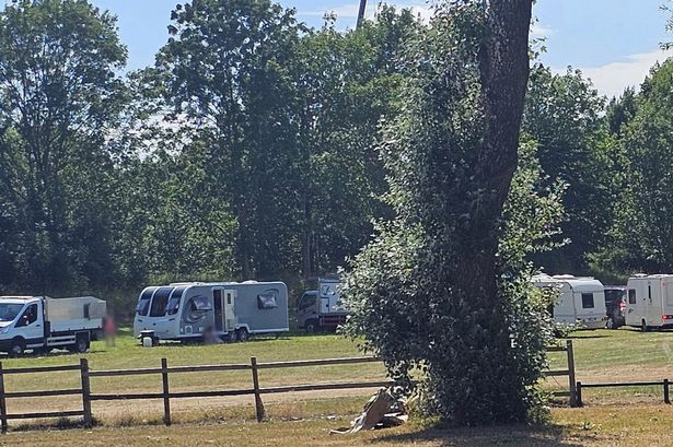 Travellers arrive at Woodgate Valley on a sweltering June 30, 2025