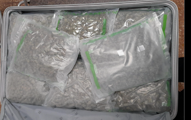 A couple have been sentenced after transporting 27kg of cannabis into Belfast