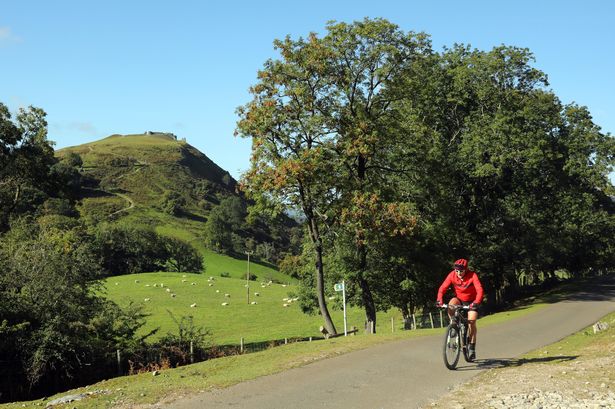 A man riding a bike through a park in the sun
