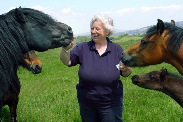 Riding school founder Joyce Newbery bred pedigree Dartmoor ponies