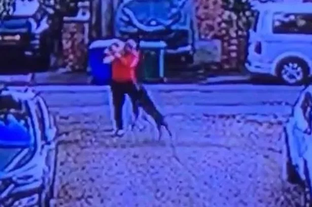 The horror incident was caught on CCTV