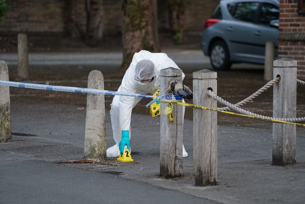 Forensics gather evidence in the street