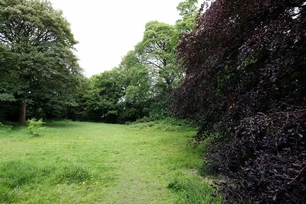 The now overgrown former gardens of Whitefield Town Hall - a conservation area. 