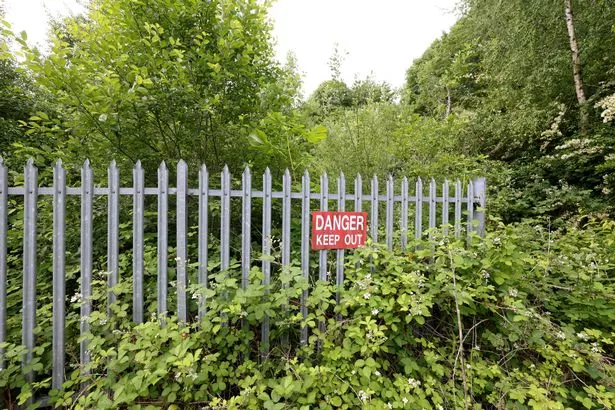 The overgrown site of the former Whitefield Town Hall. 