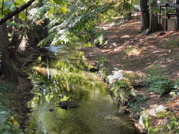Micker Brook in Cheadle