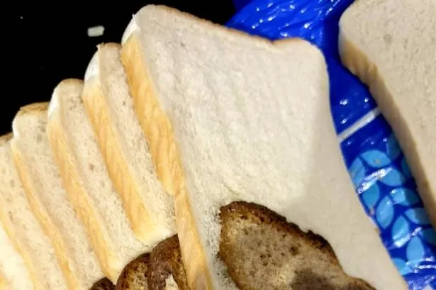 Charlotte Hobbs, 22, was making herself a sandwich when she realised part of her white loaf had been spliced with a brown one