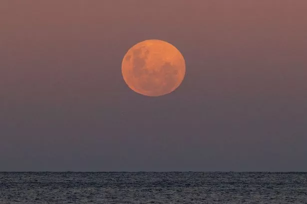 A super blood moon rises above the horizon at Manly Beach on May 26, 2021 in Sydney, Australia. 