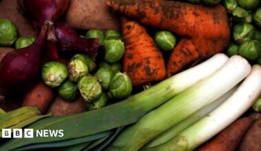 A selection of vegetables